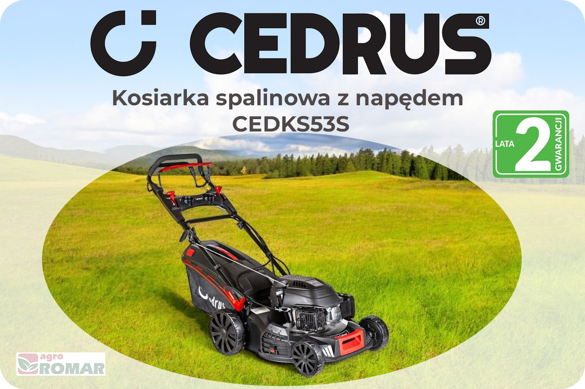 Kosiarka spalinowa Cedrus KS53S